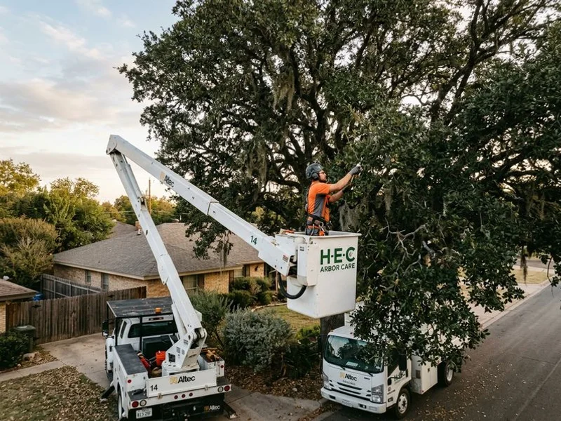 Trimming & Pruning - Image 1